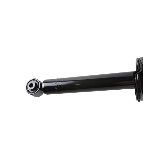 2pcs Shock Strut Spring Assembly  Rear Kit Set of 2 for Honda Accord 2003-2007