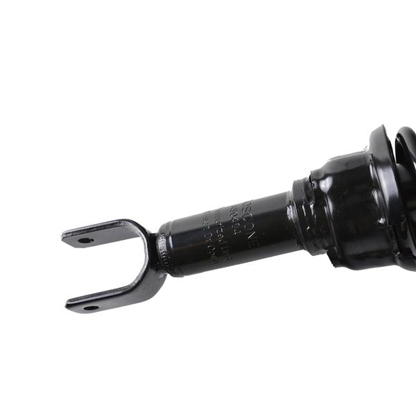 2pcs Shock Strut Spring Assembly  Rear Kit Set of 2 for Honda Civic 1996-2000