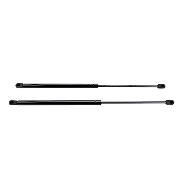 2 Glass Lift Supports Struts Shock -6610