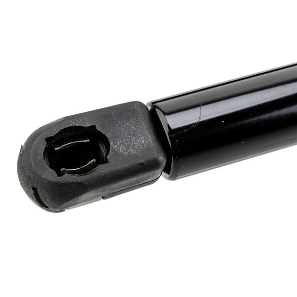 2 Glass Lift Supports Struts Shock -4204