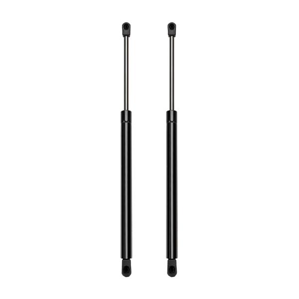 2 Glass Lift Supports Struts Shock -4353