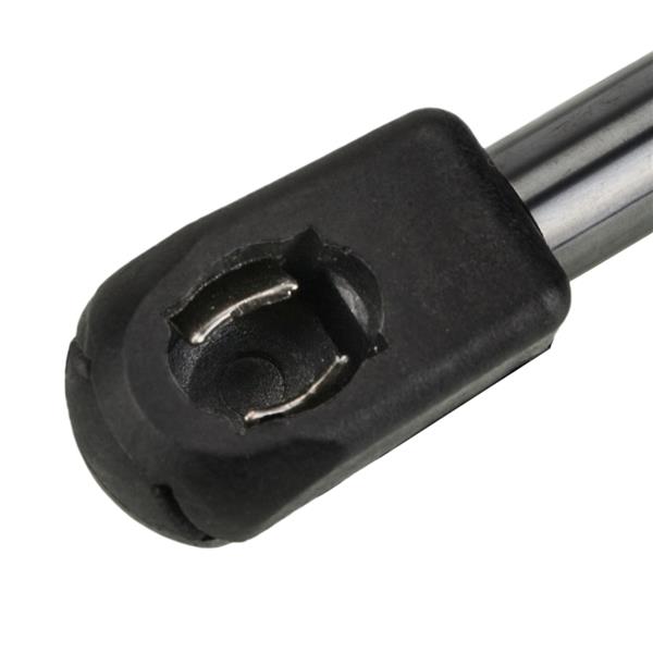 2 Lift Supports Struts Shock-6156