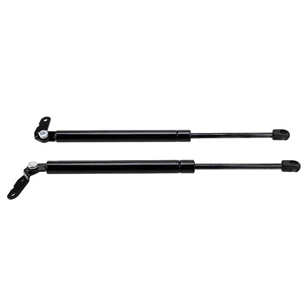 2 Glass Lift Supports Struts Shock -6191