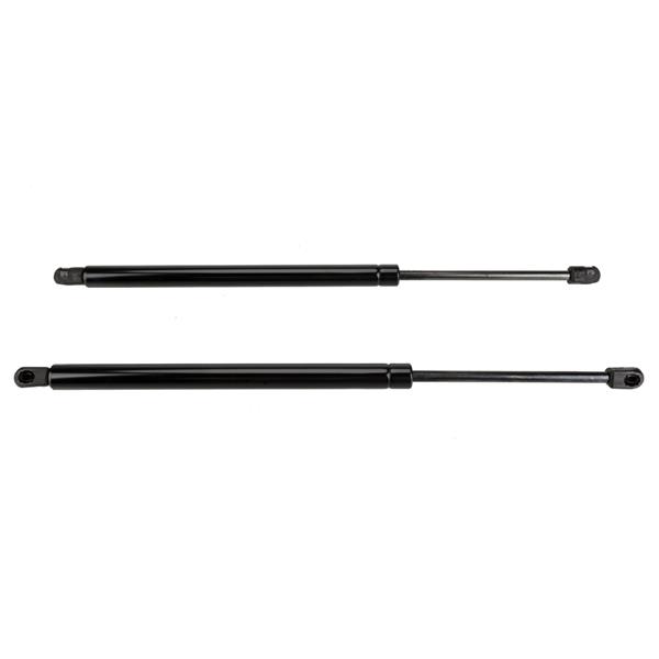 2 Lift Supports Struts Shock-4363