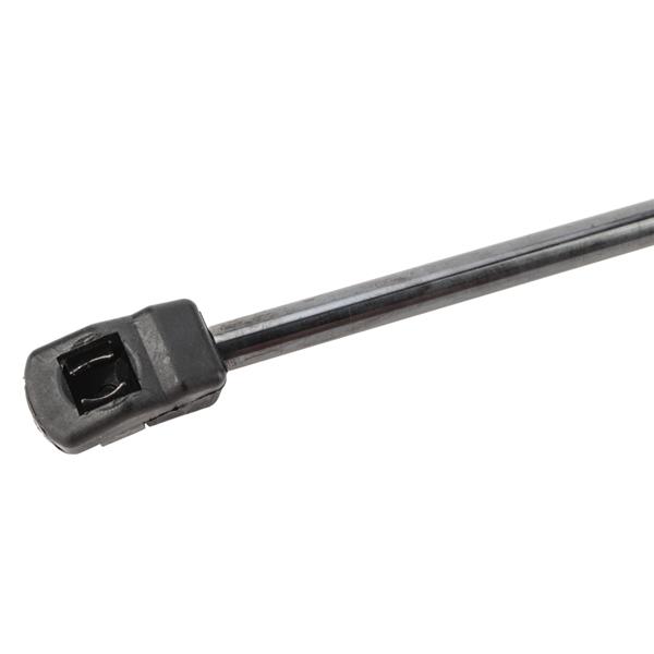 2 Lift Supports Struts Shock-6129