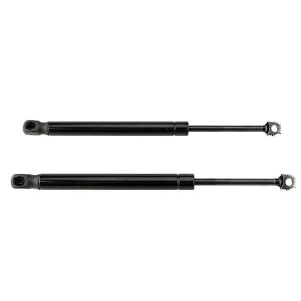 2 Glass Lift Supports Struts Shock -4508