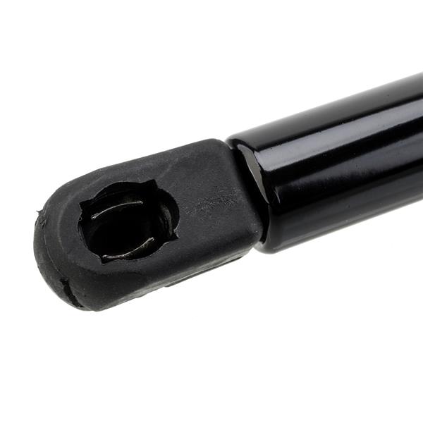 2 Glass Lift Supports Struts Shock -6610