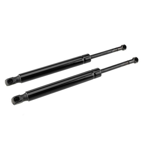 2 Glass Lift Supports Struts Shock -6430