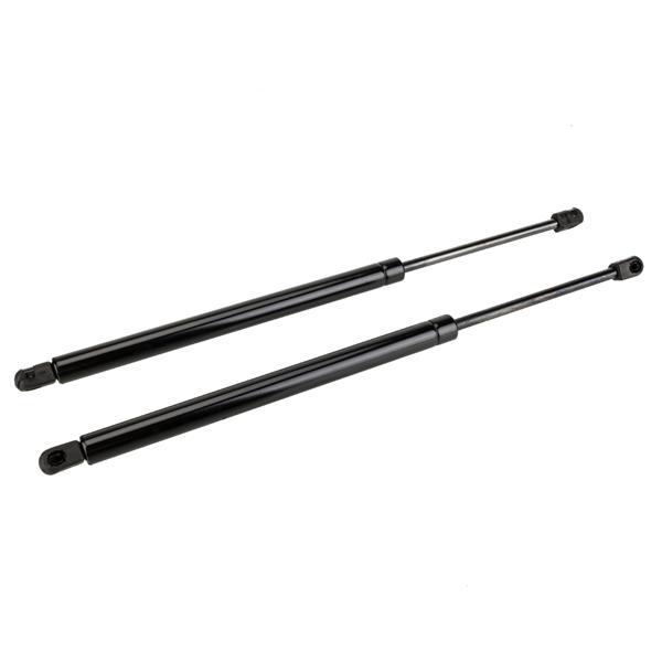 2 Lift Supports Struts Shock-4363