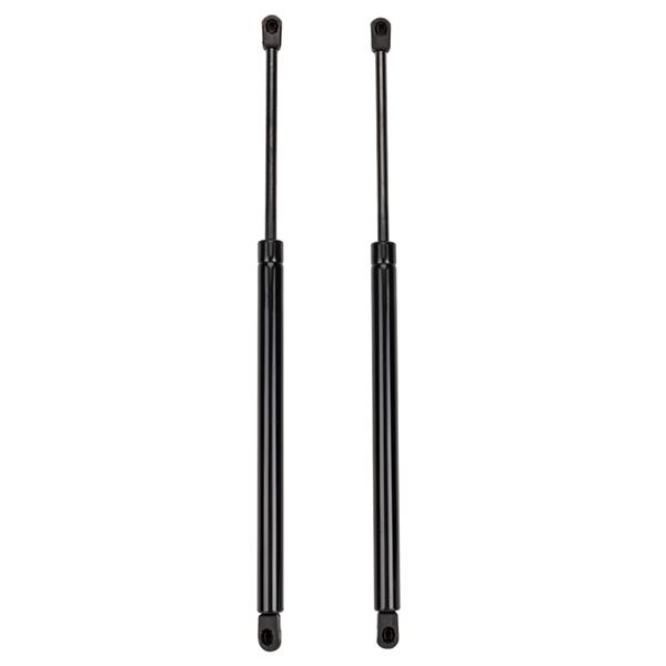 2 Lift Supports Struts Shock-4363