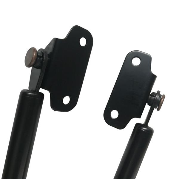 2pcs Front Hood Lift Supports for 2003-2007 Honda Accord