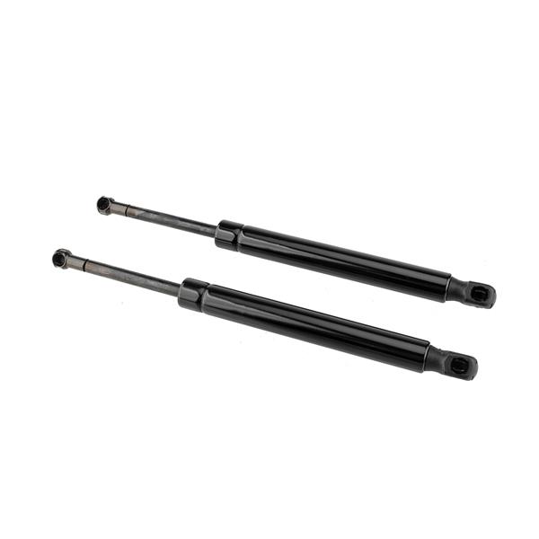 2 Glass Lift Supports Struts Shock -6430