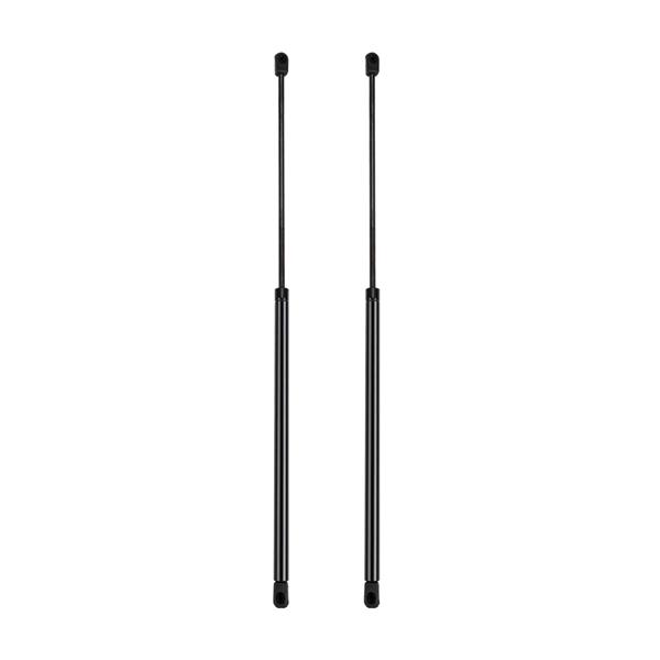 2 Glass Lift Supports Struts Shock -6585