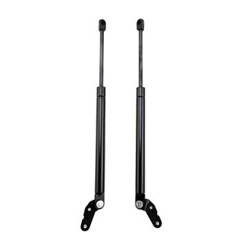 2 Glass Lift Supports Struts Shock -6191