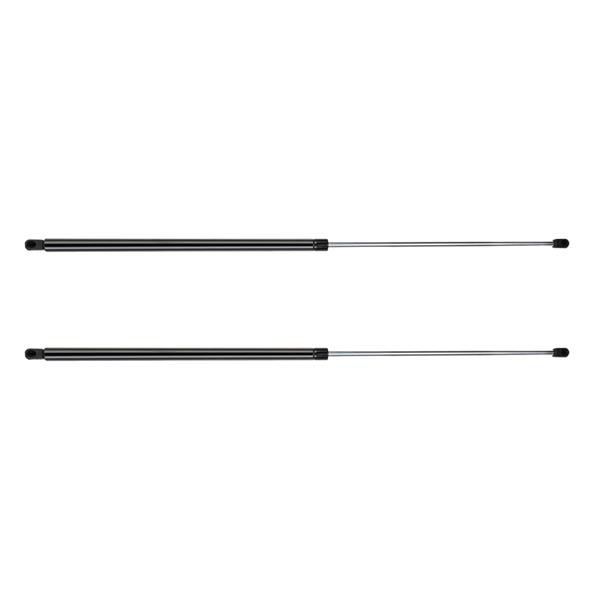 2 Glass Lift Supports Struts Shock - C16-10944 