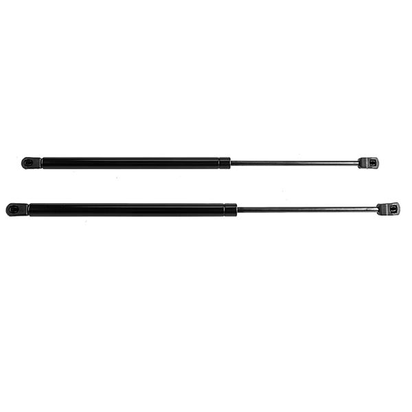 2 Glass Lift Supports Struts Shock -4360