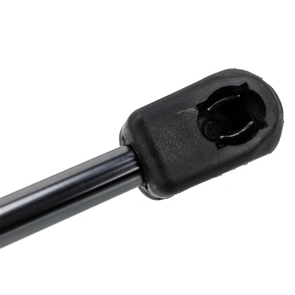 2 Glass Lift Supports Struts Shock -6610