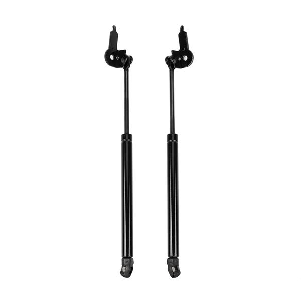 2 Glass Lift Supports Struts Shock -4174