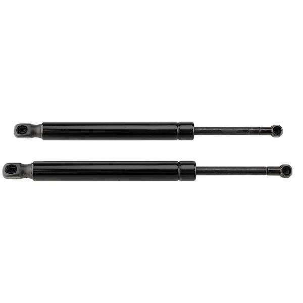 2 Glass Lift Supports Struts Shock -6430