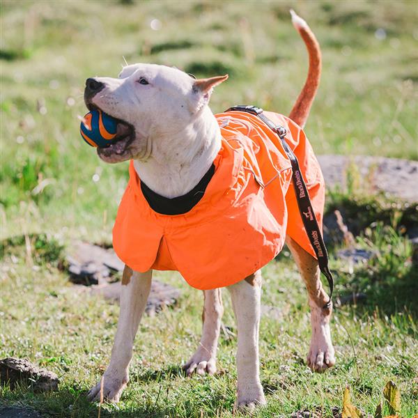 Dog Coats Small Waterproof,Warm Outfit Clothes Dog Jackets Small,Adjustable Drawstring Warm And Cozy Dog Sport Vest-（orange，size 2XL））