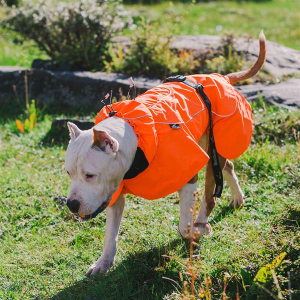 Dog Coats Small Waterproof,Warm Outfit Clothes Dog Jackets Small,Adjustable Drawstring Warm And Cozy Dog Sport Vest-（orange，size 2XL））