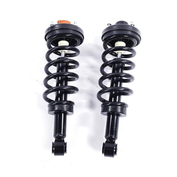 2pcs Rear Complete Shock Absorbers Assemblies -70-171139-171139 JB