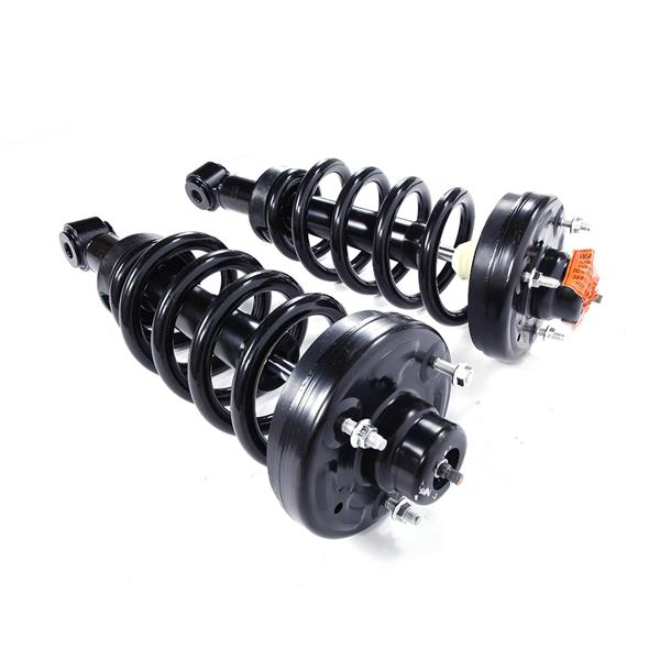 2pcs Rear Complete Shock Absorbers Assemblies -70-171139-171139 JB