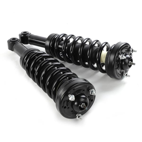 2pcs Front Struts & Coil Springs Assembly for Ford F-150 2009 - 2013