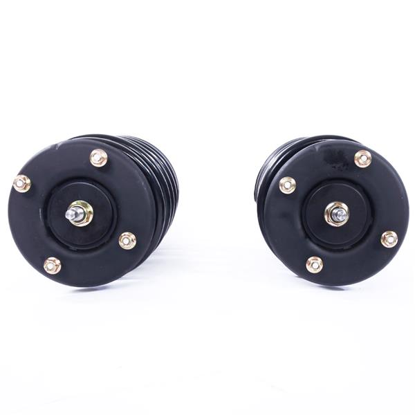 2pcs Iron Shock Absorber Assembly Black 172138 