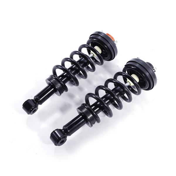 2pcs Rear Complete Shock Absorbers Assemblies -70-171139-171139 JB