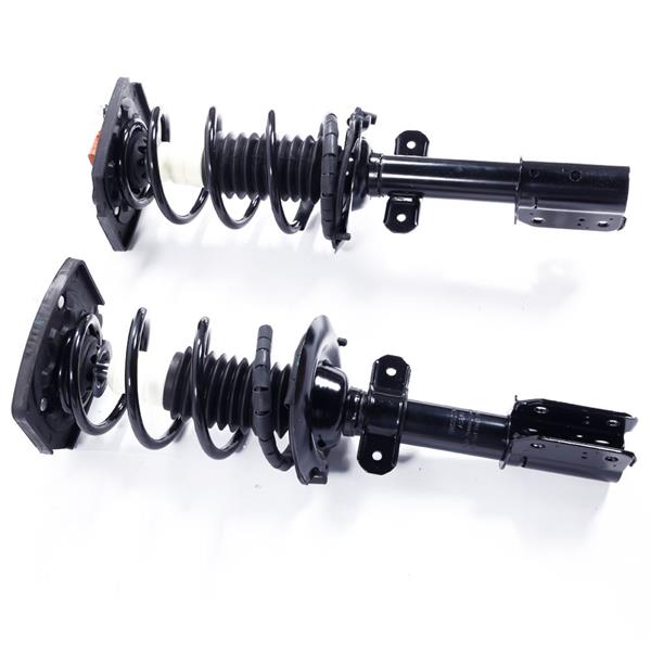 2pcs Rear  Complete Shock Absorbers Assemblies -53-171671L-171671R JB