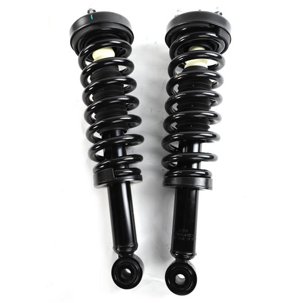 2pcs Front Struts & Coil Springs Assembly for Ford F-150 2009 - 2013