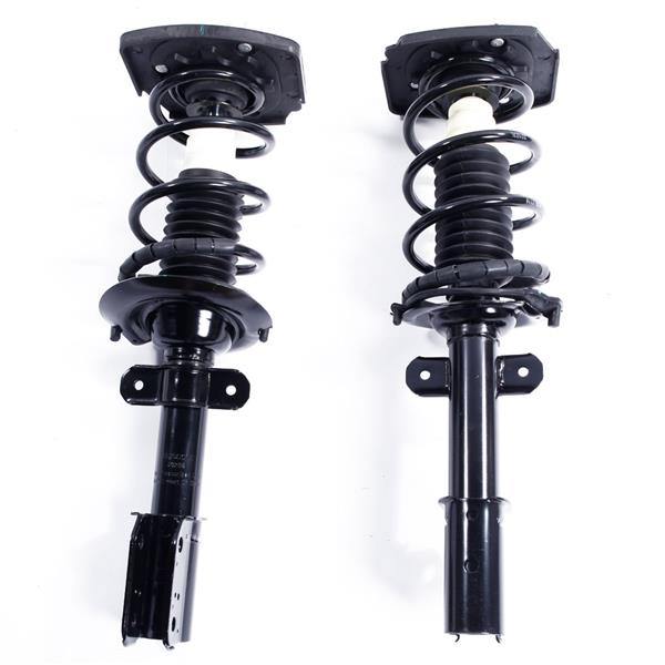 2pcs Rear  Complete Shock Absorbers Assemblies -53-171671L-171671R JB