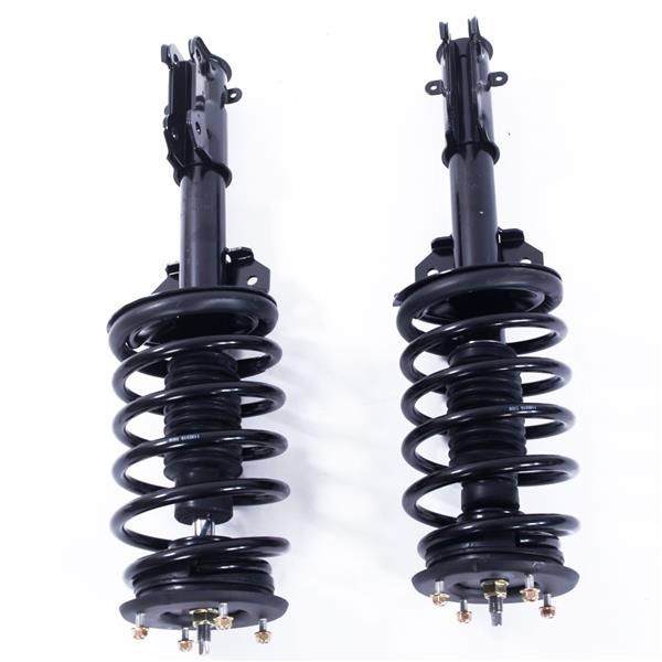 2pcs Iron Shock Absorber Assembly Black 172138 