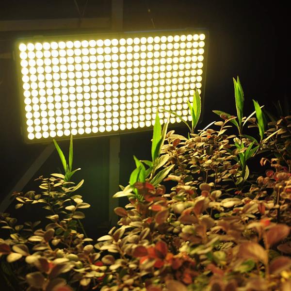 LED Grow Light 300W,  Full Spectrum Grow Light, Plant Light for Indoor Plants, 338 Sunlike LEDs, 22inch Large Indoor Plant Light, Commercial Indoor Grow Panel Light for Seeding Veg and Flower