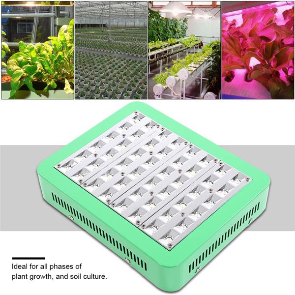 LED Grow Light Full Spectrum for Dense Flowers Hydroponics Indoor Greenhouse 240W