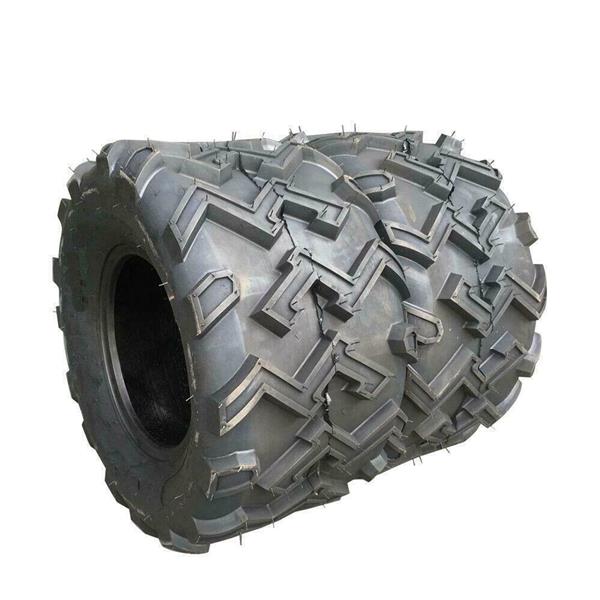 Pair of millionparts 22x10-10 ATV UTV Tires Tubeless 6 PR Pattern:P306