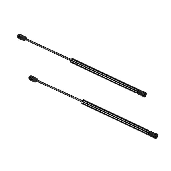 2x Tailgate 6204 Lift Supports Hatch Shock Struts Prop for Toyota Matrix 03-08