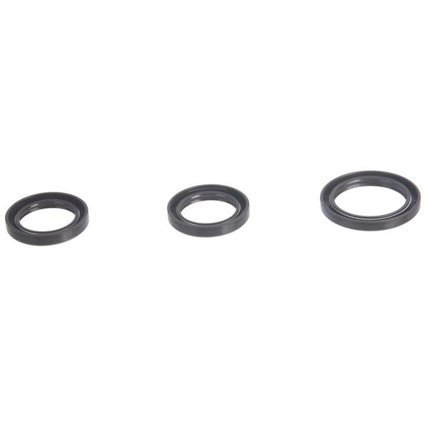 Timing Belt Kit for Hyundai Kia Optima Santa Fe 2.4L 1999-2006 WP313K1A