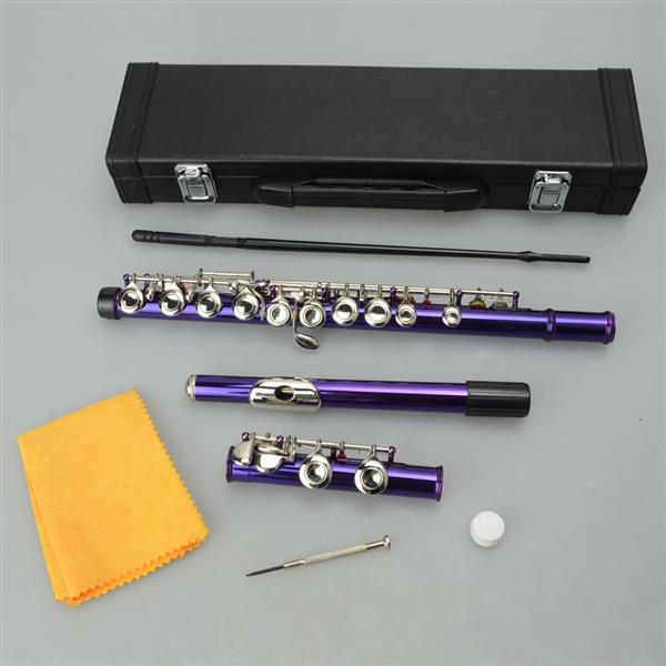 Cupronickel C 16 Closed Holes Concert Band Flute Purple