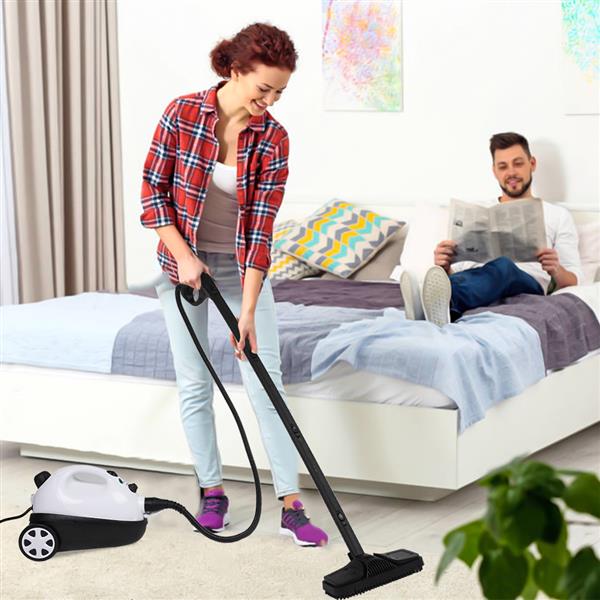 ZSC-1 1500W ETL Certification American UL Plug Stainless Steel Pot Steam Cleaner 19 Accessories - White