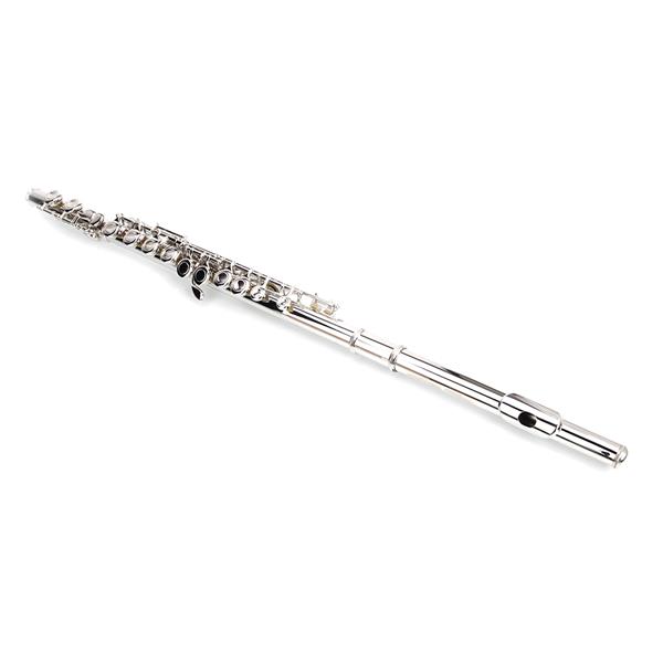 Nickel Plated C Closed Hole Concert Band Flute with E Key