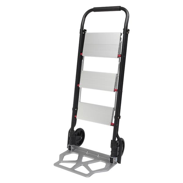 2321F Convenient Dual-Use Folding Ladder