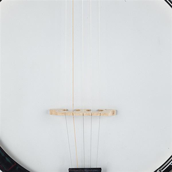 Top Grade Exquisite Professional Wood Metal 5-string Banjo White & Wood Color