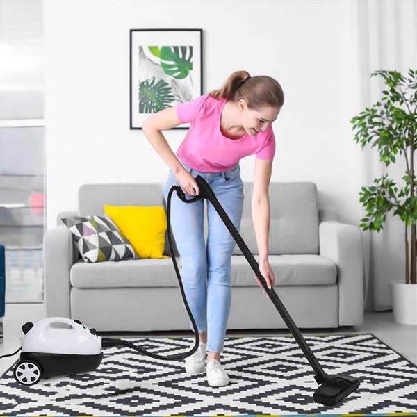 ZSC-1 1500W ETL Certification American UL Plug Stainless Steel Pot Steam Cleaner 19 Accessories - White