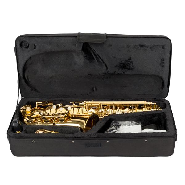 Stylish Mid-range Alto Drop E Lacquered Golden Saxophone Painted Golden Tube with Carve Patterns