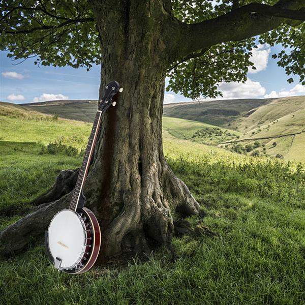 Top Grade Exquisite Professional Wood Metal 5-string Banjo White & Wood Color