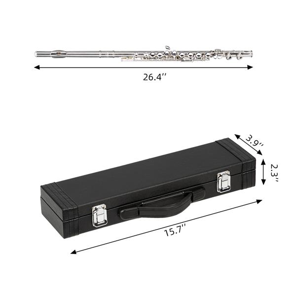 [Do Not Sell on Amazon]Glarry 16 Keys C Cupronickel Flute Closed Hole Separated E Key for Student Beginners Silver