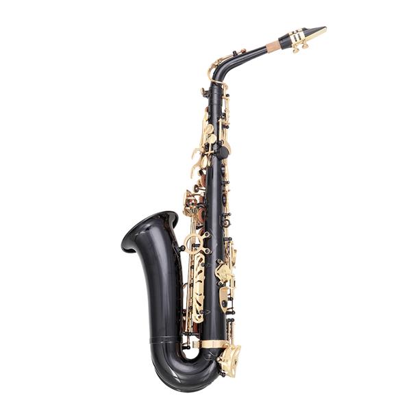 [Do Not Sell on Amazon]Glarry Alto Saxophone E-Flat Alto SAX Eb with 11reeds, case,carekit, Black Color for Students and Beginners