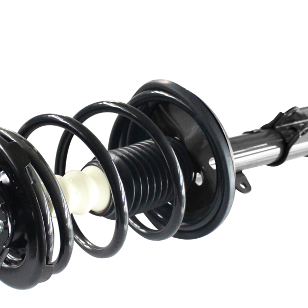 2 PCS COMPLETE STRUT 2000-2002 Toyota- RAV4